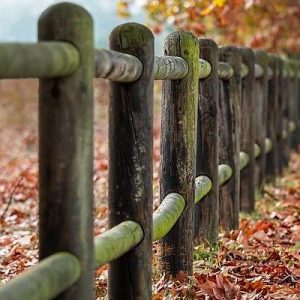 Nihil molestias error ut quia.